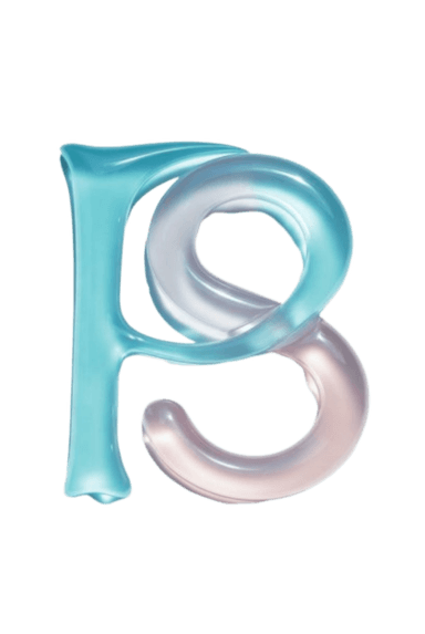 Party Snap logo